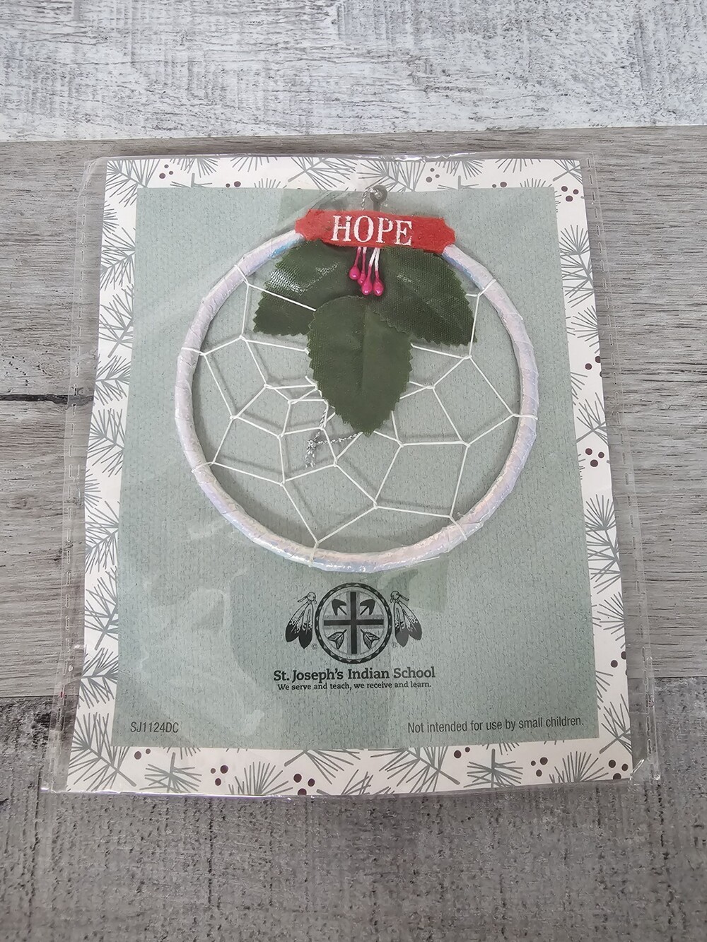 Dreamcatcher Lakota (Sioux) St. Joseph's Indian School Small 4’’ New Hope 188d